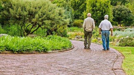 Foto de archivo de dos ancianos paseando.