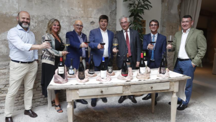 El consejero de Agricultura, Joaquín Olona, durante la presentación del 90 aniversario de la D.O.P Cariñena. / Gobierno de Aragón