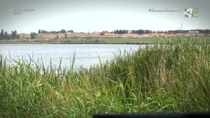 Laguna de Sariñena