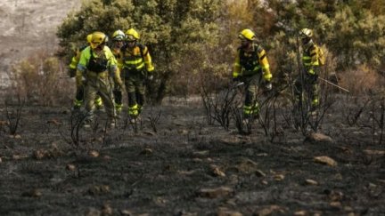 Imagen de archivo del incendio declarado en Añón de Moncayo. / Infoar