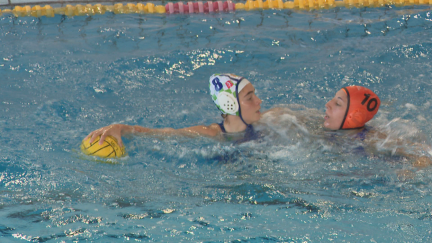 Imagen del torneo en la Piscina Municipal Alberto Maestro