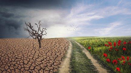 Imagen de los efectos del cambio climático. / Pixabay