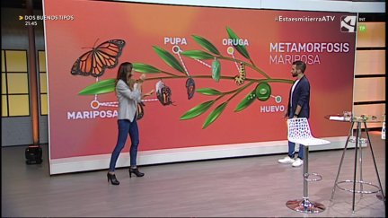 Metamorfosis