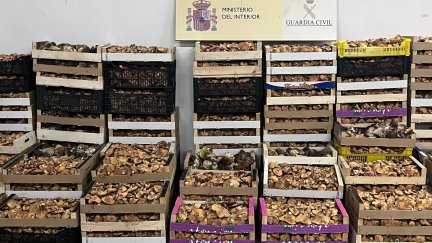 Material incautado en la operación. / Guardia Civil Teruel