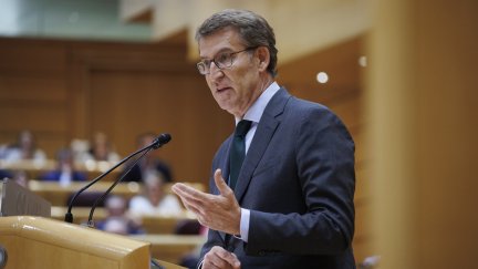 Foto de archivo del presidente del PP, Alberto Núñez Feijóo, en el Senado. / Europa Press.
