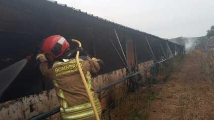Los Bomberos de la Diputación de Teruel en la granja incendiada./ Diputación de Teruel.