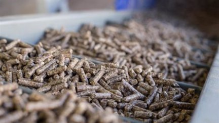 España produce 900.000 toneladas de pellet este año. / Europa Press