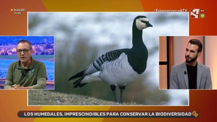 Humedales
