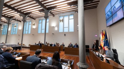 Pleno celebrado este lunes en la DPZ. / Diputación de Zaragoza