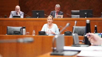 Marta Gastón, consejera de Economía, Planificación y Empleo, este martes. / Cortes de Aragón