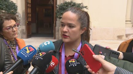 La directora del Instituto Aragonés de la Mujer (IAM), María Goikoetxea.
