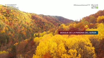 Por la Troposfera: Otoño en todo su esplendor