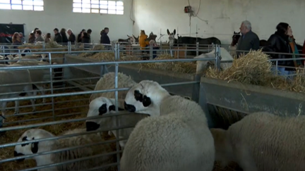 Feria de Productos y Servicios del Medio Rural en Aguaviva (Teruel).