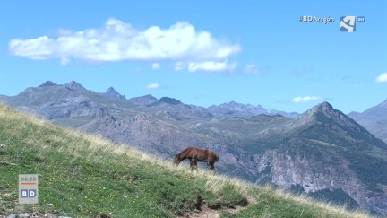 Economía circular en Aragón