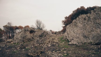 Zona de la cueva de la Muela de Borja. / Aragón TV