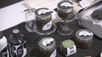 Trufa negra a la venta en Fitruf.