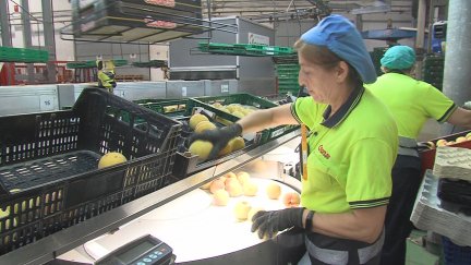 La cooperativa Cosanse, en La Almunia de Doña Godina, forma parte del sector de Economía Social