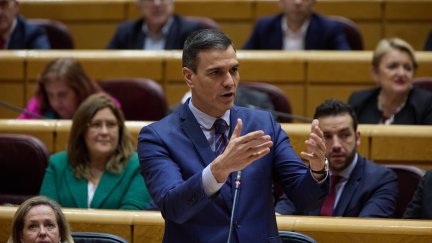 El presidente del Gobierno, Pedro Sánchez, interviene durante una sesión de control al Gobierno en el Senado, a 21 de diciembre de 2022, en Madrid (España)./  Jesús Hellín / Europa Press.