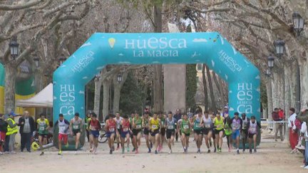 Imagen de la salida de la prueba masculina del Memorial Alós-Campeonato de Aragón de cross.