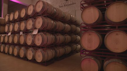 Instalaciones de Bodegas San Alejandro en Miedes de Aragón (Zaragoza).