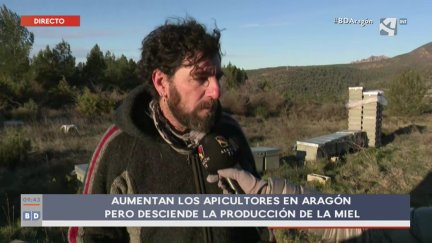 Abejas (I): productoras de miel