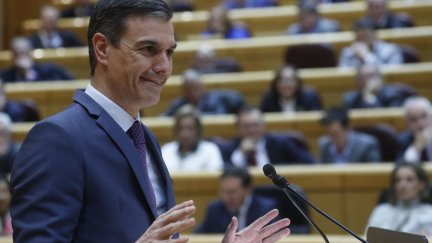 El presidente del Gobierno, Pedro Sánchez, interviene en el pleno del Senado, este martes en Madrid. EFE/ Zipi.
