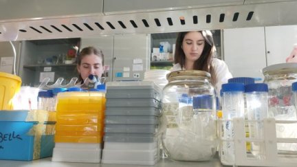 Aragón convoca nuevas becas predoctorales. / Gobierno de Aragón