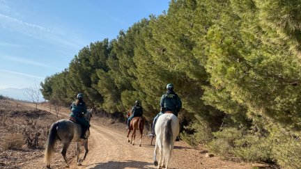 Varios agentes de la unidad equina en una inspección habitual. / Delegación del Gobierno