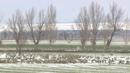 Las temperaturas más bajas se han registrado este martes en la provincia de Teruel.