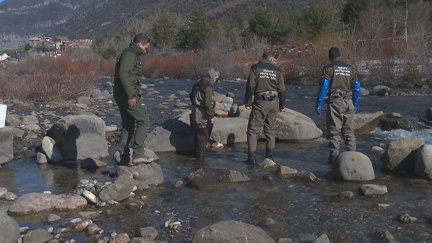 Con esta suelta arranca la temporada de pesca de los ríos oscenses.