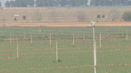 Campos de cultivo en Sarñena (Huesca).