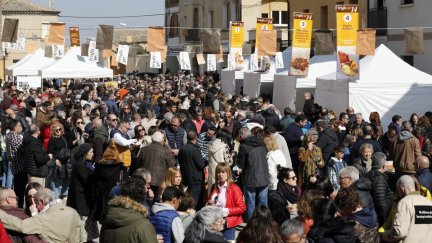 Trufa-te se ha convertido en un evento multitudinario en Sariñena. / Diputación de Huesca.