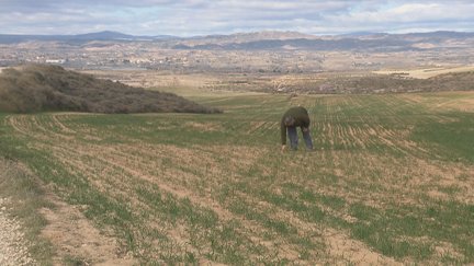 Los agricultores esperan que la primavera traiga lluvias a Aragón.