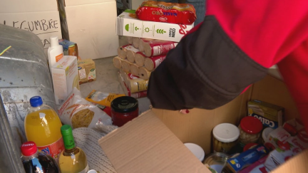 Una persona ordena diversos alimentos donados.