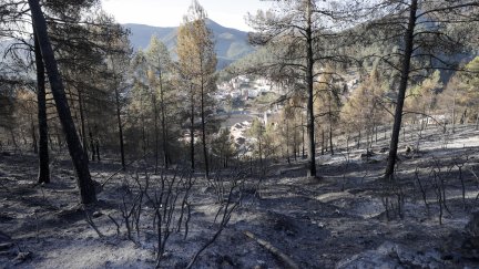 Vegetación quemada en el incendio. / EFE