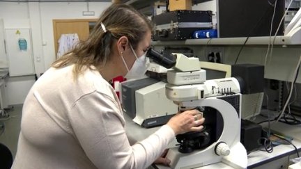 Una investigadora del INMA trabaja en la Universidad de Zaragoza.