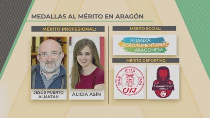El Gobierno de Aragón ha aprobado este viernes la concesión de las Medallas al Mérito.