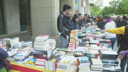 Edición de 2022 del Día del Libro en Zaragoza.