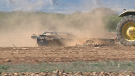 La sequía causa estragos en el campo aragonés