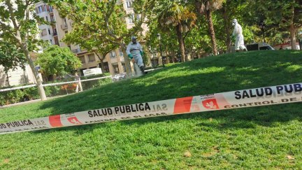 Operarios del Ayuntamiento de Zaragoza trabajan en los tratamientos contra garrapatas.