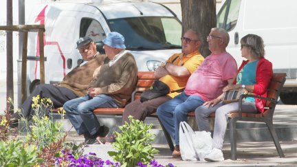 Un grupo de personas se resguarda del sol a la sombra de un árbol, en Huesca.