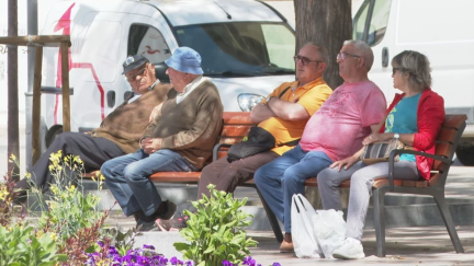 Un grupo de personas se resguarda del sol a la sombra de un árbol, en Huesca.