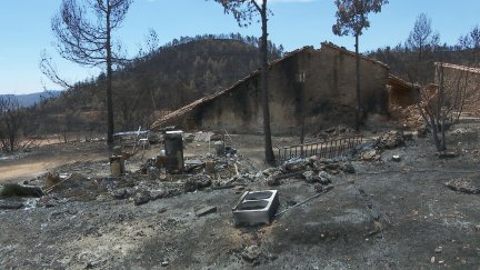 Incendio forestal que arrasó buena parte de San Agustín (Teruel) el pasado marzo.