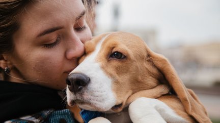 Cuando una mascota muere, es obligatorio acudir a un profesional acreditado para que se ocupe de sus restos. / Canva