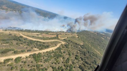 Imagen del incendio. / Infoar