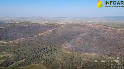 Imagen de la superficie afectada por el incendio. / Infoar