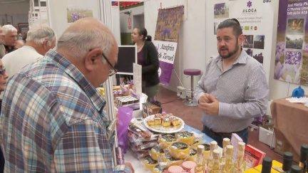 El azafrán, protagonista de feria en Monreal del Campo.