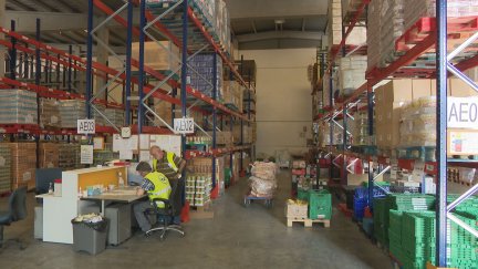 Voluntarios trabajando en la presente campaña del Banco de Alimentos.