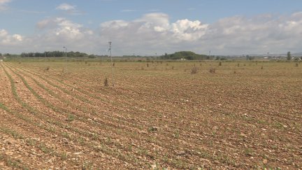 El sistema de riegos de Bardenas atraviesa una campaña con fuerte sequía por tercer año consecutivo.