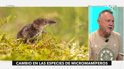 Micromamíferos y cambio climático